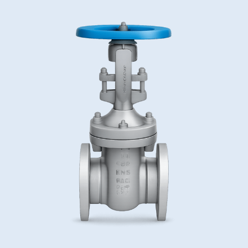 CS GATE VALVE, OS & Y - TYPE F/E - 150 / 300 / 600#